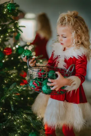 Martha "Santa Claus" dress